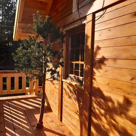 El Paso City Zlatibor *